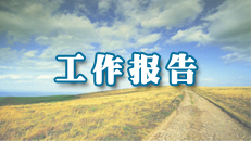 工作报告